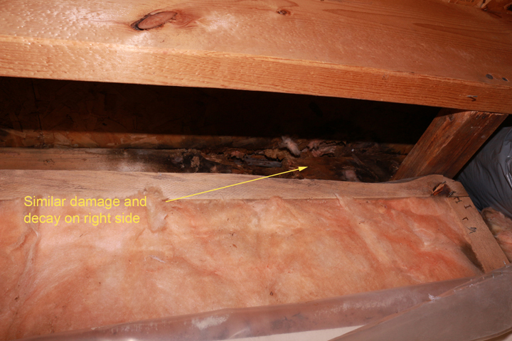 More rot on right side